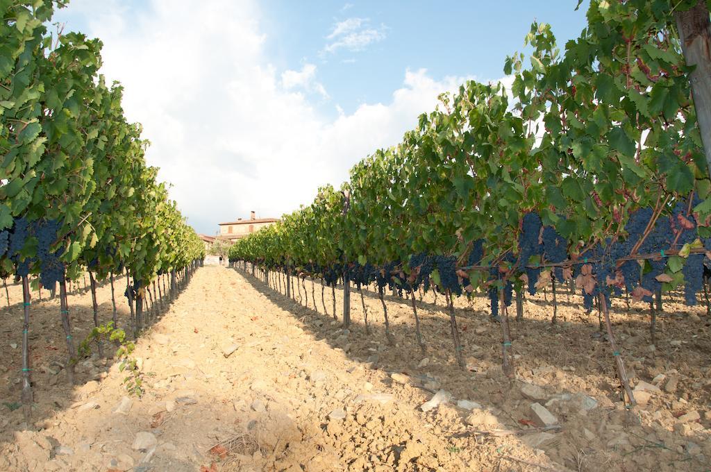 Agriturismo Amina, Winery & Hiking Vagliagli ภายนอก รูปภาพ