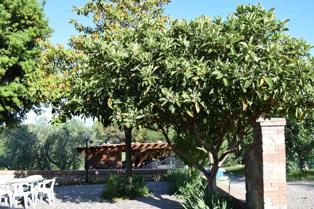 Agriturismo Amina, Winery & Hiking Vagliagli ภายนอก รูปภาพ