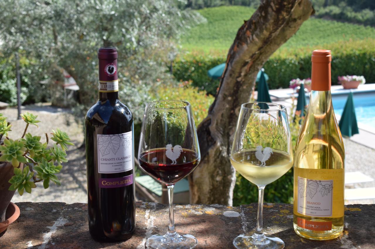 Agriturismo Amina, Winery & Hiking Vagliagli ภายนอก รูปภาพ