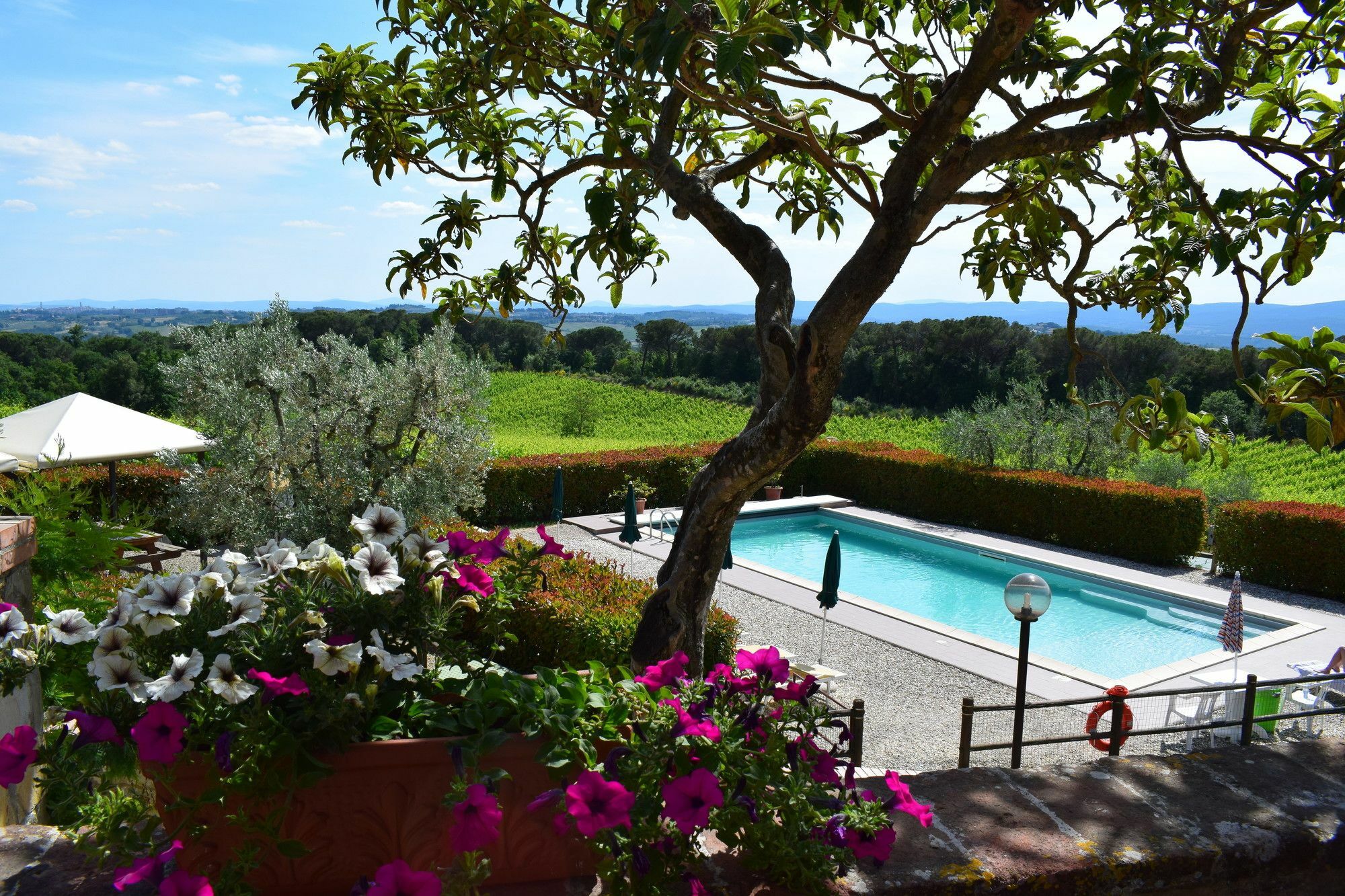 Agriturismo Amina, Winery & Hiking Vagliagli ภายนอก รูปภาพ