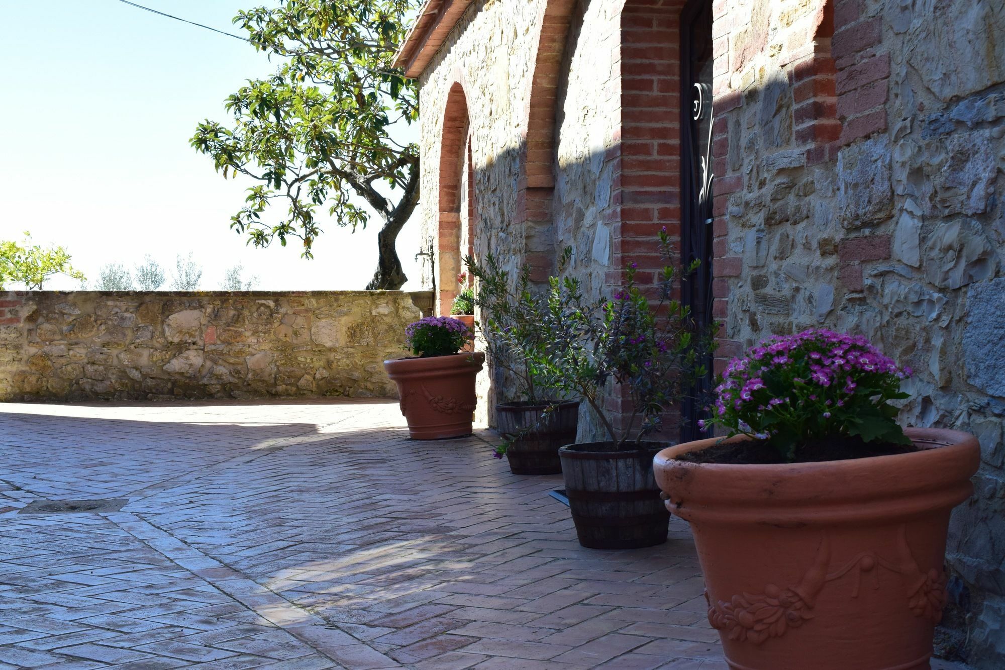 Agriturismo Amina, Winery & Hiking Vagliagli ภายนอก รูปภาพ